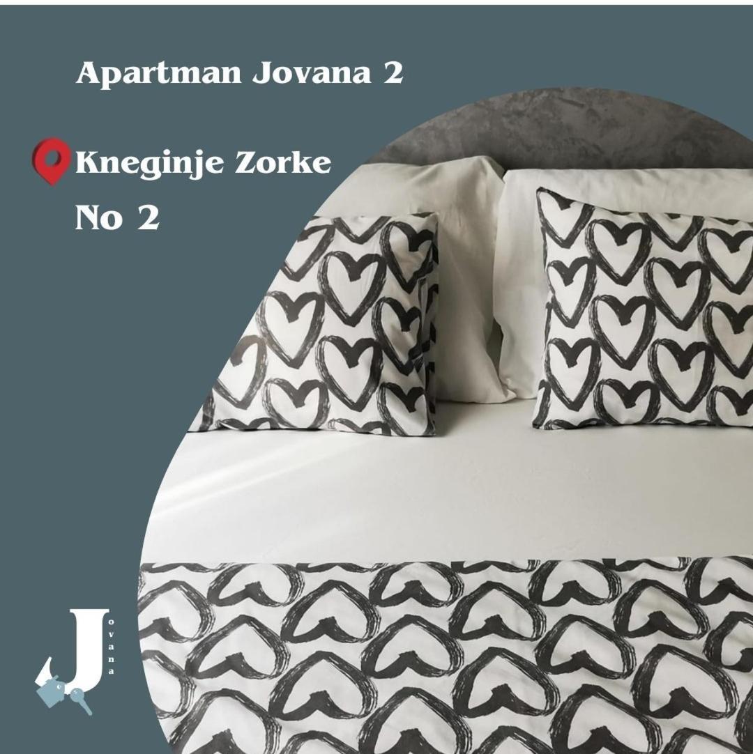 Apartman Jovana 2 ベオグラード エクステリア 写真